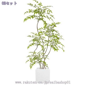 1000~OFFN[| tFCNO[ ^ lHϗtA A p rO CeAO[ ͋C ؕfUC ͂ꂸsv _ԂɍœK A i