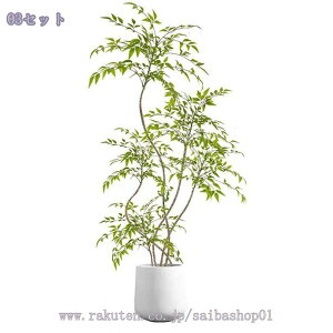 2000~OFFN[| tFCNO[ ^ lHϗtA A p rO CeAO[ ͋C ؕfUC ͂ꂸsv _ԂɍœK A i