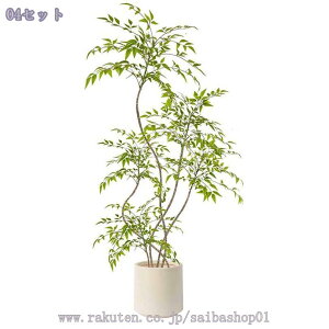 2000~OFFN[| tFCNO[ ^ lHϗtA A p rO CeAO[ ͋C ؕfUC ͂ꂸsv _ԂɍœK A i