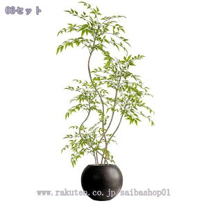 tFCNO[ ^ lHϗtA A p rO CeAO[ ͋C ؕfUC ͂ꂸsv _ԂɍœK A ie V| 