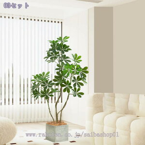 1000~OFFN[| tFCNO[ ^ p CeAO[ y  t rOEցEItBXɍœK sv ȒP ԉo lHϗtA VFt