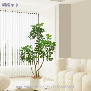 1000~OFFN[| tFCNO[ ^ p CeAO[ y  t rOEցEItBXɍœK sv ȒP ԉo lHϗtA VFt