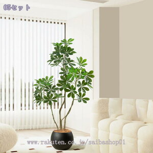 1000~OFFN[| tFCNO[ ^ VFt lHϗtA J|bN CeAO[ p rOEցEQ p ϗtA CeA t sv 