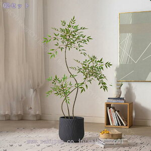 1000~OFFN[| tFCNO[ lHϗtA ^ Aȗt̎ ^  ϗtA O[vg N₩ȐF Be Ƃ̑  O q Aؔt lHV| Mt