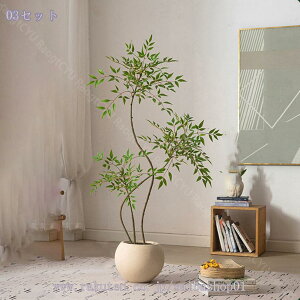 tFCNO[ lHϗtA ^ Aȗt̎ ^  ϗtA O[vg N₩ȐF Be Ƃ̑  O q Aؔt lHV| Mtg 160CM Raogt