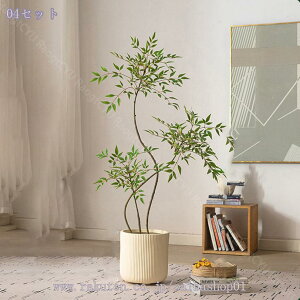 tFCNO[ lHϗtA ^ Aȗt̎ ^  ϗtA O[vg N₩ȐF Be Ƃ̑  O q Aؔt lHV| Mtg 160CM Raogt