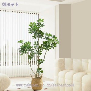 lHϗtA tFCNO[ ^ A {   rO  ֏ R̕ Ǝ{ i` R[i[Xy[X sv A J|bN 135CM