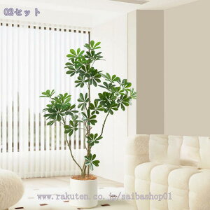 2000~OFFN[| A lHϗtA VFt ^ tFCNO[ p p y ړȒP _ȃfUC ֏ rOEQELɂ҂ CeAɍœK ͂