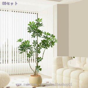 1000~OFFN[| lHϗtA tFCNO[ ^ A {   rO  ֏ R̕ Ǝ{ i` R[i[Xy[X sv A 