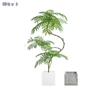 2000~OFFN[| tFCNO[ A ^ϗtA { p //rO/X܃fBXvC  ԉo y t sv Ce