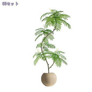 2000~OFFN[| tFCNO[ A ^ϗtA { p //rO/X܃fBXvC  ԉo y t sv Ce