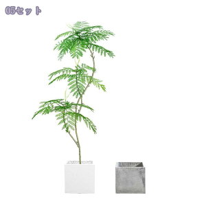 1000~OFFN[| nJ_ tFCNc[ lHϗtA tFCNO[   rO kX^C 1.8m At q ItBX zer[ fBXvC 