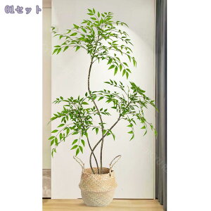 1000~OFFN[| lHϗtA ^ CeA gsJ k tFCNO[  rO ItBX X   ze r[ Ϗܗp fR[V u t 