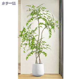 lHϗtA ^ CeA gsJ k tFCNO[  rO ItBX X   ze r[ Ϗܗp fR[V u t 160CM RaogtCYU