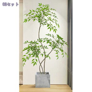 lHϗtA ^ CeA gsJ k tFCNO[  rO ItBX X   ze r[ Ϗܗp fR[V u t 160CM RaogtCYU