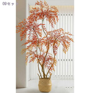 2000~OFFN[| V| ^ t FCNO[ p A rO//L/Q CeA Ԃ炸 ͂Ȃ Ύ ͋C X܃fBXvC lHϗtA 