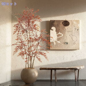 1000~OFFN[| ԂV| tFCNO[ ^ lHϗtA { lHA _   Q rO Kip CeAO[ ȒP ͂Ȃ t 