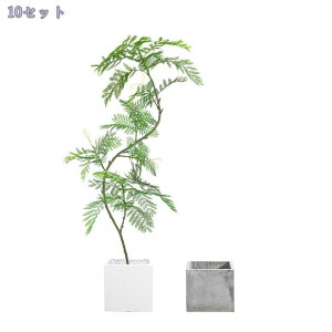 nJ_ tFCNc[ lHϗtA tFCNO[   rO k A Aؔt q X ItBX zer[ fBXvC sv 1.6m RaogtCY