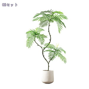 1000~OFFN[| nJ_ tFCNc[ lHϗtA tFCNO[   rO k A Aؔt q X ItBX zer[ fBXvC 