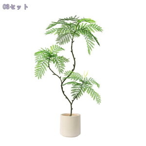 2000~OFFN[| tFCNO[  nJ_ lHϗtA ^ CeA ItBX z j R[i[ Q̐SzȂ AȎ} Rȗt sv t