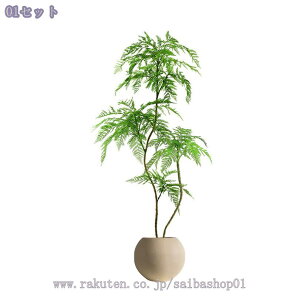 1000~OFFN[| nJ_ tFCNO[ p ^lHϗtA ͋C  CeAO[ Aؔt k  rO q Xܗp fBXvC 