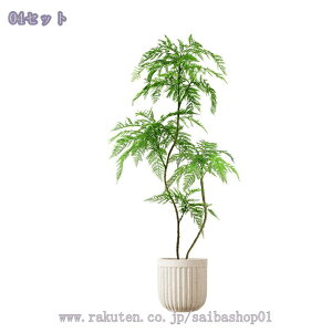 nJ_ tFCNO[ p ^lHϗtA ͋C  CeAO[ Aؔt k  rO q Xܗp fBXvC 2.1m RaogtCYU