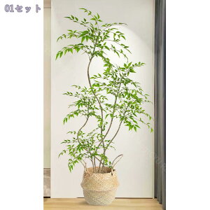 2000~OFFN[| tFCNO[ ^A { A  rOE\t@EւɍœK  CeAO[ i` sv Ή lHϗtA