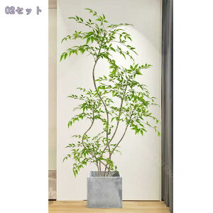 2000~OFFN[| tFCNO[ ^ lHϗtA A { p //rO/X܃fBXvC   y t sv CeA 