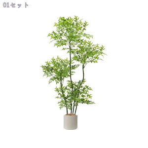 tFCNO[ ^ A t p CeAO[ y u₷ qԁEItBXEJtFɍœK Ԃ炸 N₩ȗtF bNX Ύ lHϗtA RaogtCYU