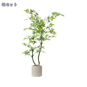 1000~OFFN[| tFCNO[ ^ { A  p rO CeAO[ ͋C ؕfUC sv _ԂɍœK A lH