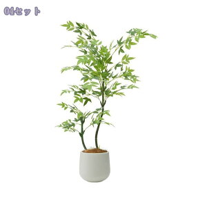 1000~OFFN[| tFCNO[ ^ { A  p rO CeAO[ ͋C ؕfUC sv _ԂɍœK A lH