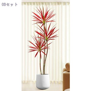 2000~OFFN[| lHϗtA tFCNO[  hZi t ^ CeA  A 㗖 tFCNO[ lHA  \t@/rO//