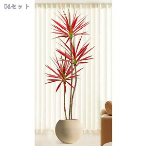 2000~OFFN[| lHϗtA tFCNO[  hZi t ^ CeA  A 㗖 tFCNO[ lHA  \t@/rO//