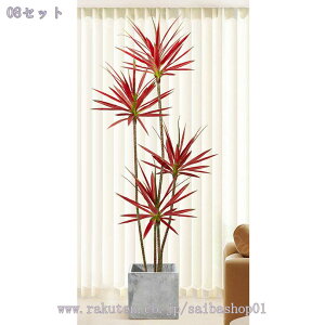 hZi ^ t FCNO[ p A rO//L/Q CeA Ԃ炸 ͂Ȃ Ύ ͋C X܃fBXvC lHϗtA Mtg 1.8m Raogt