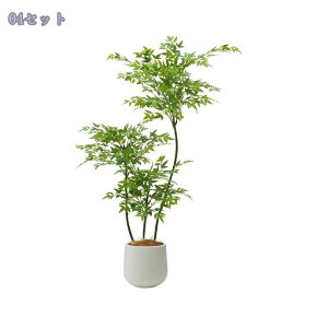 2000~OFFN[| tFCNO[ ^ A t p CeAO[ y u₷ qԁEItBXEJtFɍœK Ԃ炸 N₩ȗtF bNX Ύ l