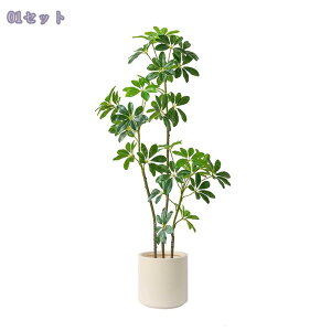 lHϗtA ^ CeA ϗtA  ցErOEItBXEX܂ɓKp ԂȂO[ oIbNX t ȒPݒu tFCNO[ 120CM RaogtCYU