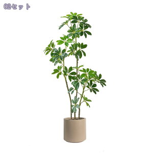 2000~OFFN[| lHϗtA ^ CeA ϗtA  ցErOEItBXEX܂ɓKp ԂȂO[ oIbNX t ȒPݒu tFCNO[