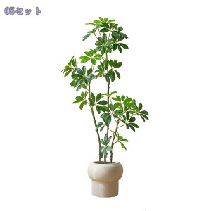 1000�~OFF�N�[�|�� �t�F�C�N�O���[�� ��^ ���A�� �����p ���r���O���� �C���e���A�O���[�� �������������͋C ���ؕ��f�U�C�� �����s�v ���_����ԂɍœK ���A�� �l�H�ϗt�A�� �V�F�t���� 