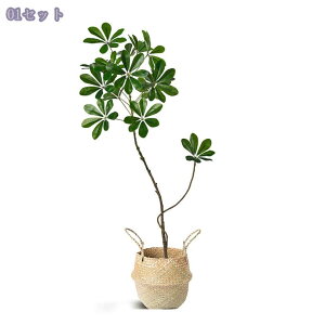 1000~OFFN[| tFCNO[ p ^CeA VFt J|bN lHϗtA lH~ ItBX W rO q e Tp i` sv 