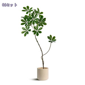 777~OFFN[| VFt J|bN tFCNO[ k A   rO q X ItBX zer[ fBXvC lHϗtA Aؔt sv 