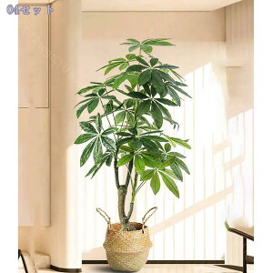 K̖ tFCNO[ ^ { y _  X rO Q Kip ͗lւ CeAO[ ȒP ͂Ȃ lHϗtA t 140CM RaogtCYU