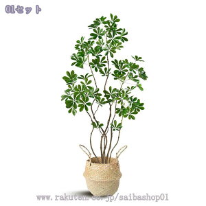 1000~OFFN[| VFt tFCNO[ ^ { Rȗt A Rȕ Ϗܗp rO//Q/ItBX/GgX/JtFΉ  sv 1175