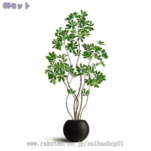 ^tFCNO[ VFt J|bN A lHϗtA CeAO[ Aؔt p  X rO ItBXp  fBXvC 175cm RaogtCYU