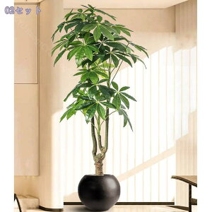 1000~OFFN[| oL CeA A t ^^Cv tFCNO[ ̎╗ _ԂɍœK ͋Co X܁EZEItBX K̖ lHϗtA 