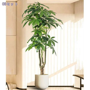 oL ^ tFCNO[ ̎╗ CeAlHϗtA A ^ t ԉo ErOEցEItBXɍœK ͂Ȃ ԕsv 1.7M RaogtCYU