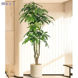 1000~OFFN[| oL ^ tFCNO[ ̎╗ CeAlHϗtA A ^ t ԉo ErOEցEItBXɍœK ͂Ȃ ԕsv 