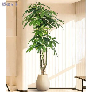 2000~OFFN[| oL CeA A t ^^Cv tFCNO[ ̎╗ _ԂɍœK ͋Co X܁EZEItBX K̖ lHϗtA 