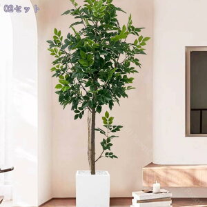 K̖ tFCNO[ ^ { y _  X rO Q Kip ͗lւ CeAO[ ȒP ͂Ȃ lHϗtA t 180CM RaogtCYU