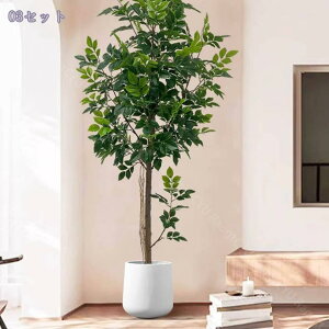 2000~OFFN[| tFCNO[  lHϗtA ^ CeA ItBX zj R[i[ AȎ} Rȗt sv t Q̐SzȂ  