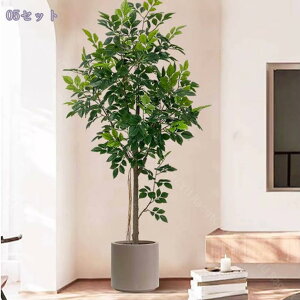 K̖ tFCNO[ ^ { y _  X rO Q Kip ͗lւ CeAO[ ȒP ͂Ȃ lHϗtA t 180CM RaogtCYU